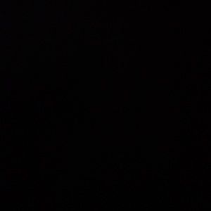 Meet your Posher, Delvin